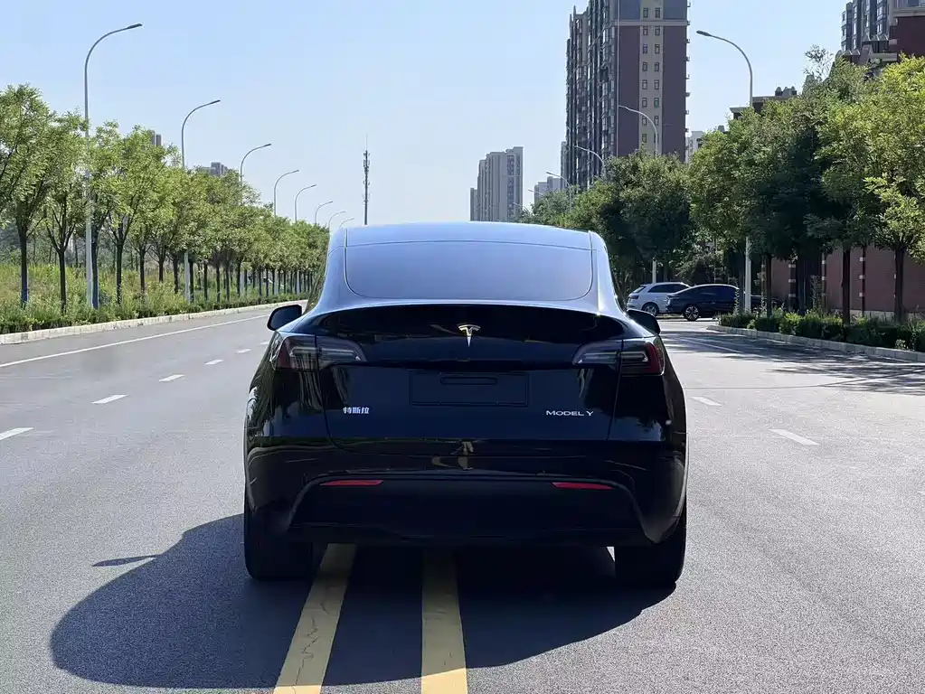 Tesla Model Y 2021 — фото 17