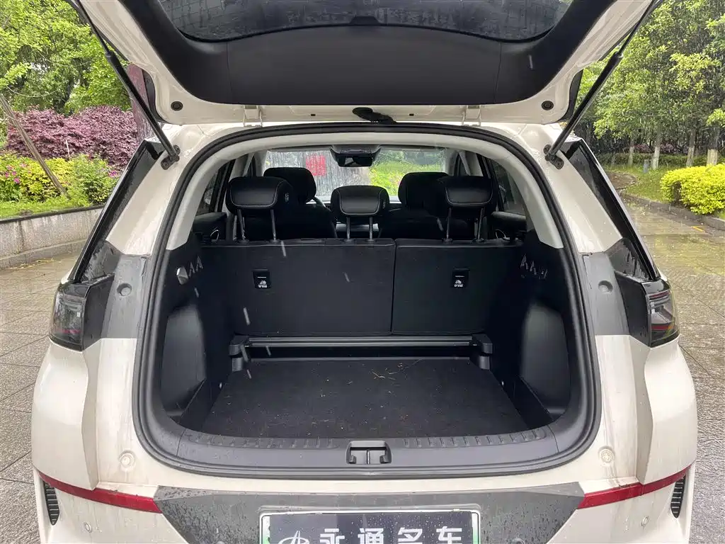 BYD Sealion 05 EV 2025 — фото 13