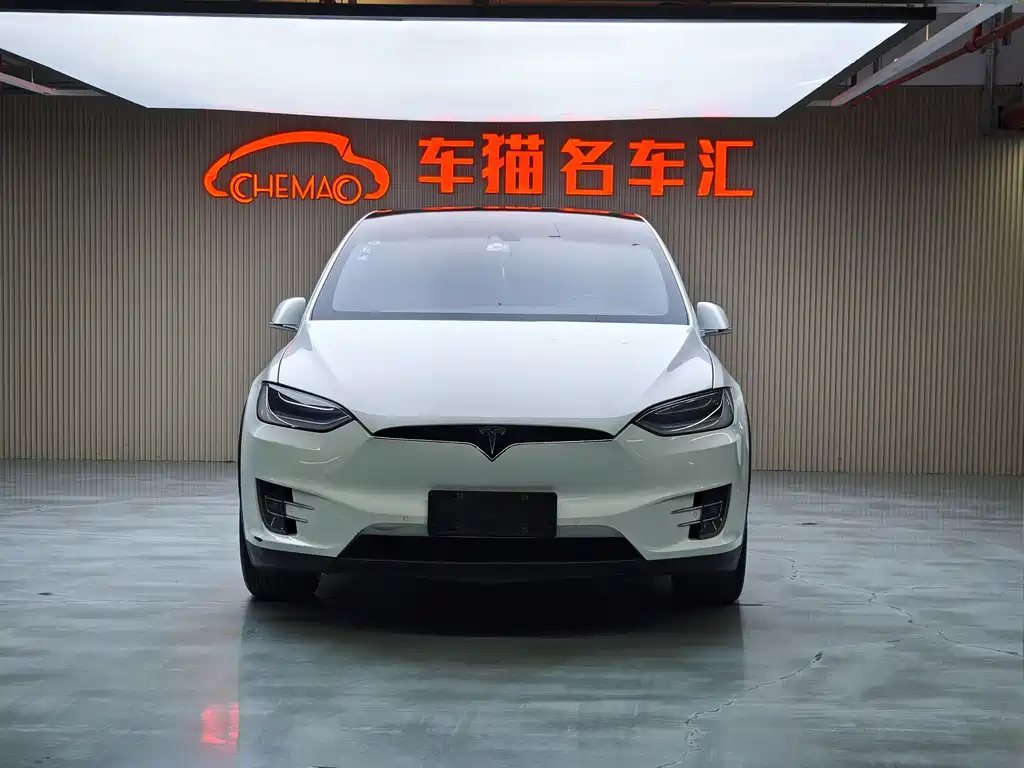 Tesla Model X 2017 — фото 2