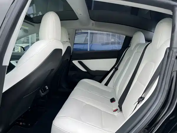Tesla Model 3 2019