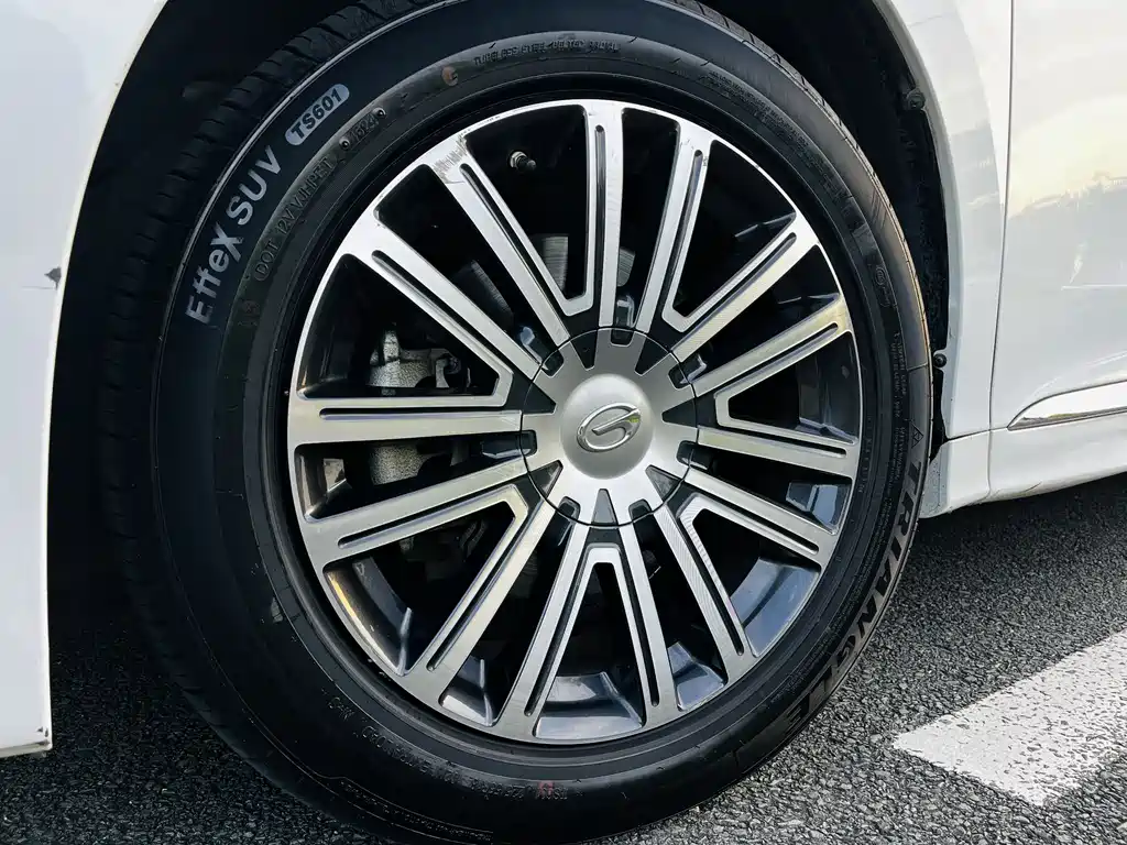 GAC Motor Trumpchi M8 2021 — фото 15