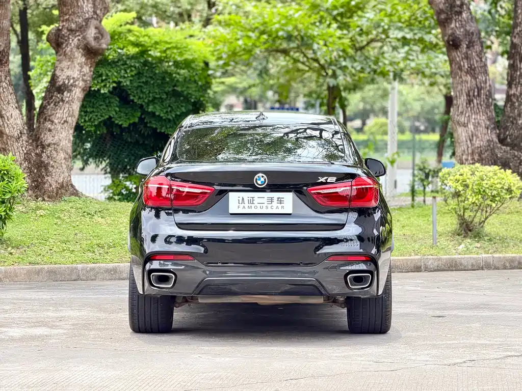 BMW X6 2019 — фото 6