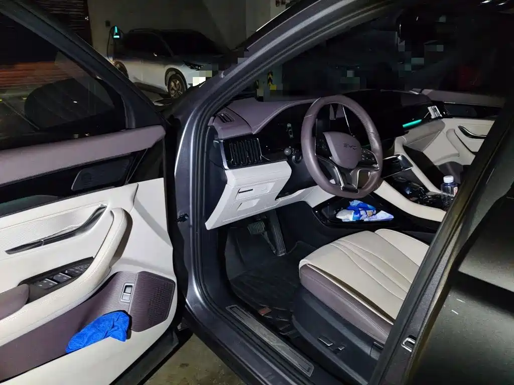BYD Song PLUS New Energy 2024 — фото 17