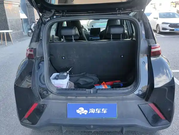 BYD Seagull 2024