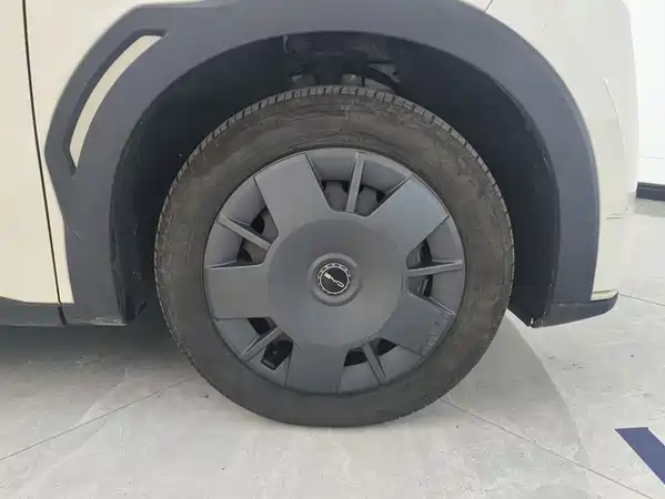 BYD Seagull 2024