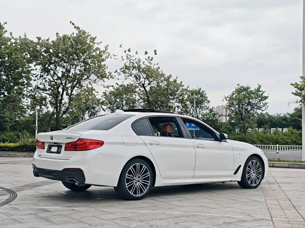 BMW 5 Series 2017 — фото 6