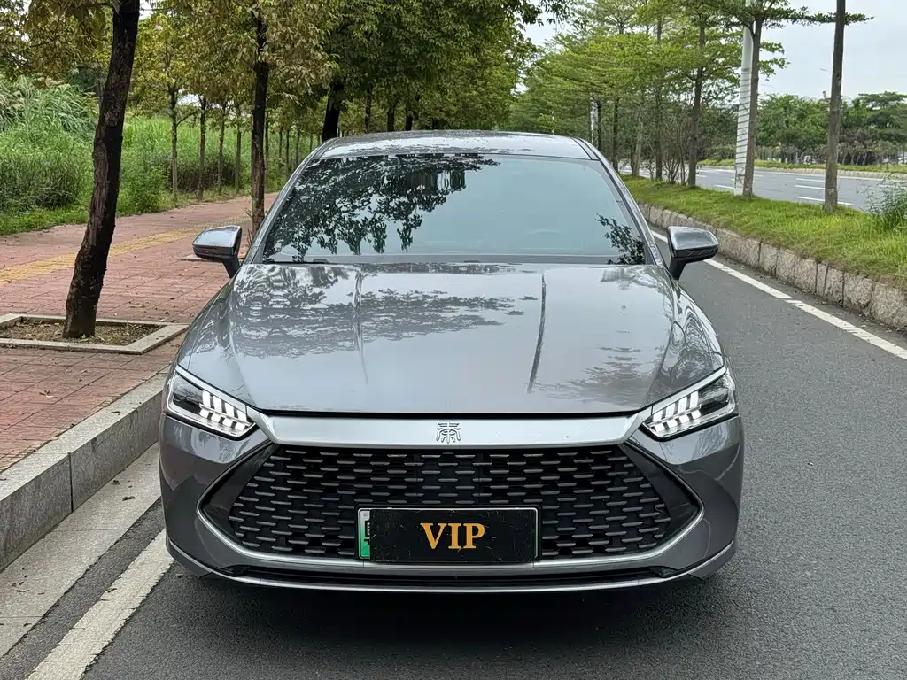 BYD Qin PLUS 2024 — фото 1