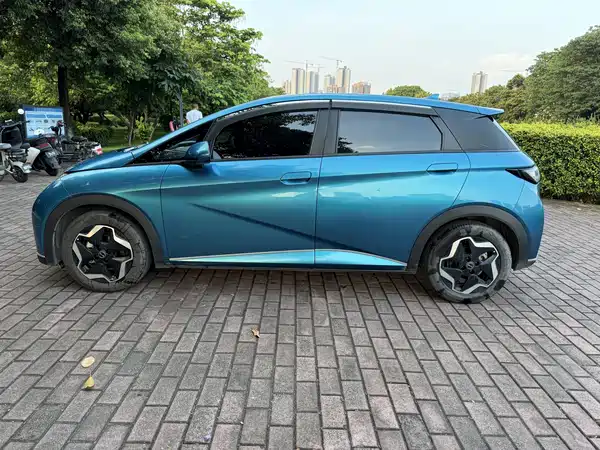 BYD Dolphin 2021