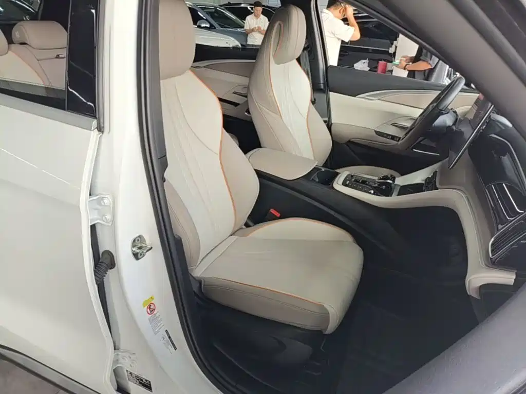BYD Song Pro New Energy 2024 — фото 25