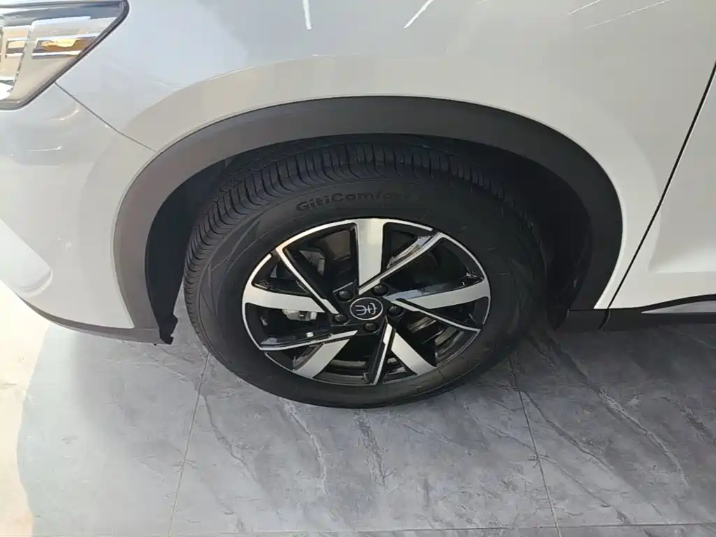 BYD Song Pro New Energy 2024 — фото 23