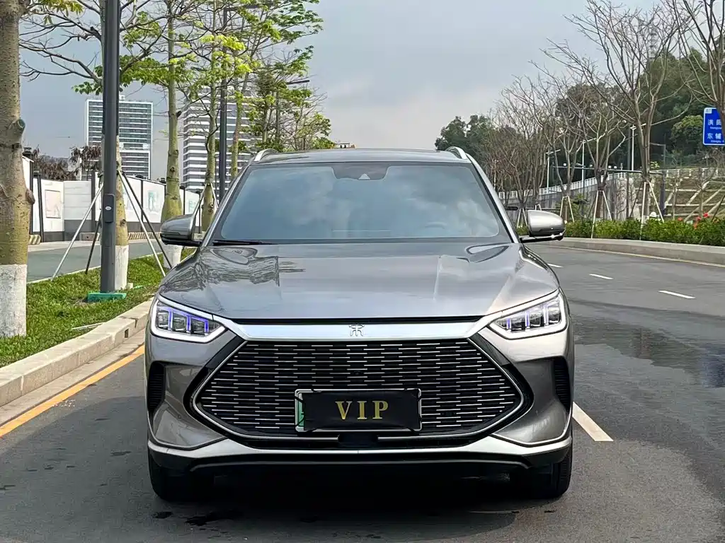 BYD PLUS New Energy 2022 — фото 2