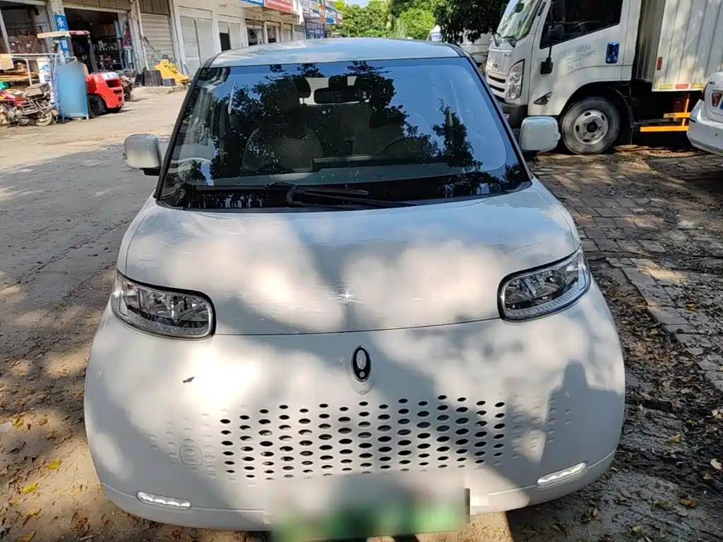 Ora White Cat 2021