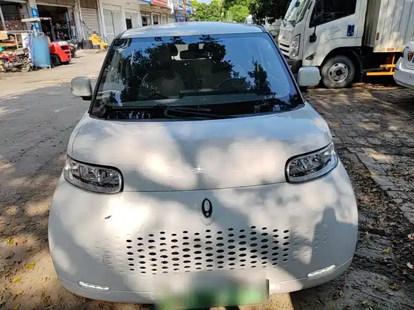Ora White Cat 2021