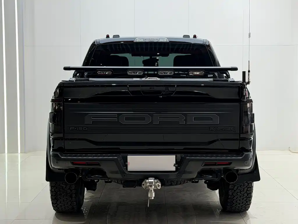 Ford F-150 Raptor 2024 — фото 16