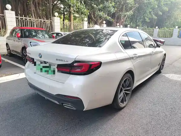 BMW 5 Series New Energy 2022