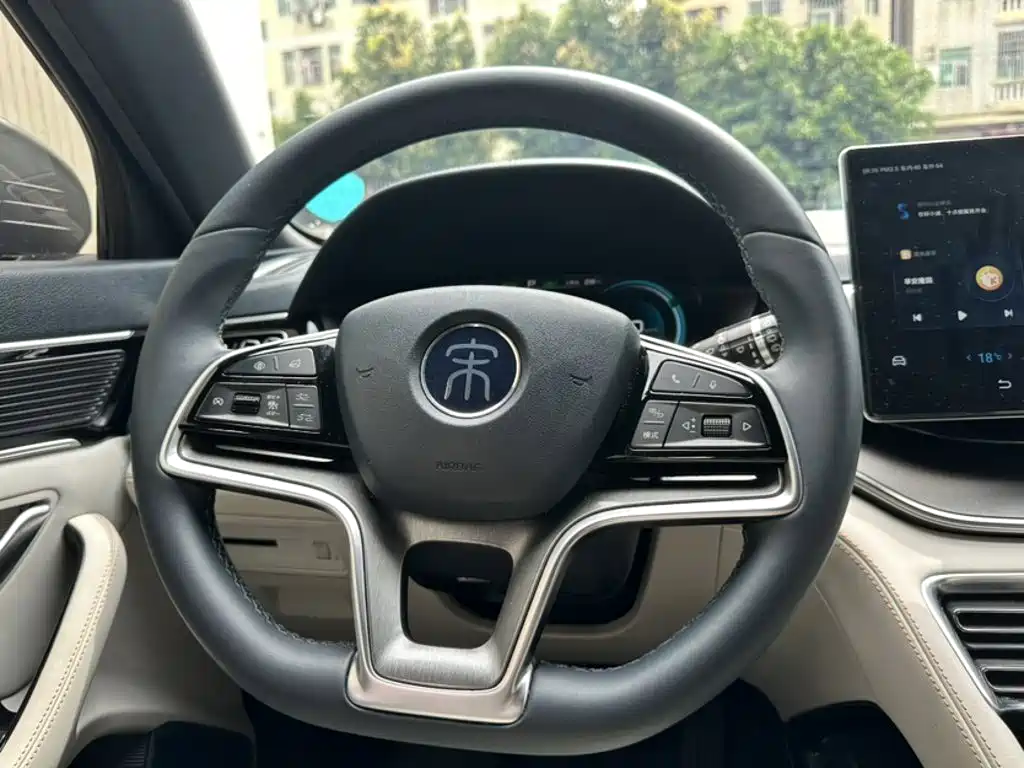 BYD Song PLUS New Energy 2021 — фото 3