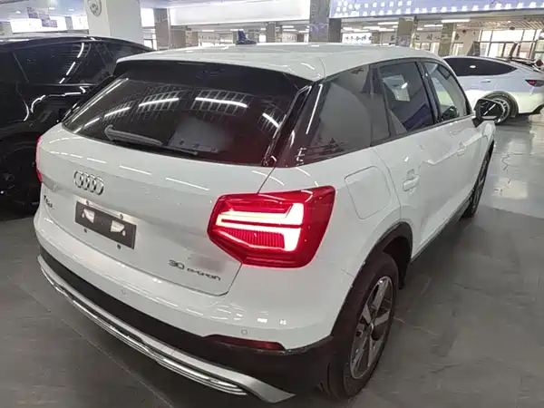 Audi Q2L E-Tron 2020