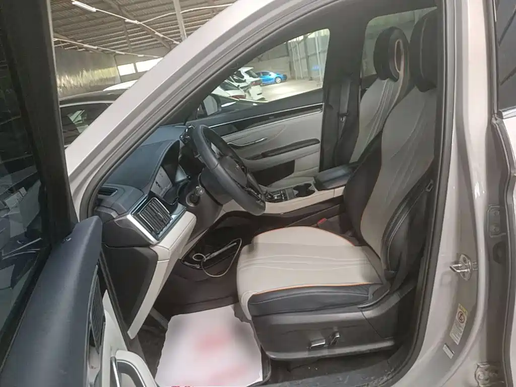 BYD PLUS New Energy 2024 — фото 15