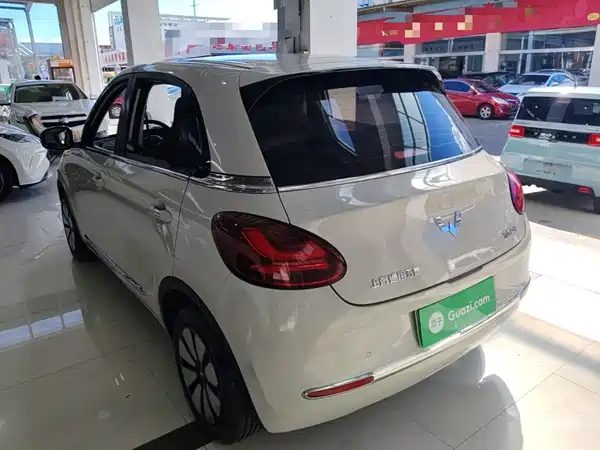 Wuling Bingo 2024