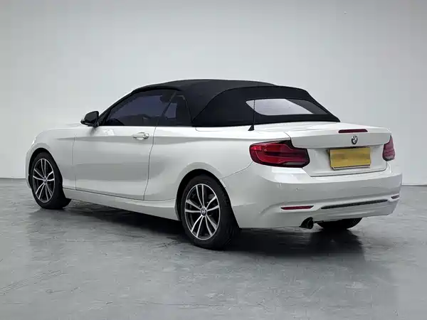 BMW 2 Series 2019