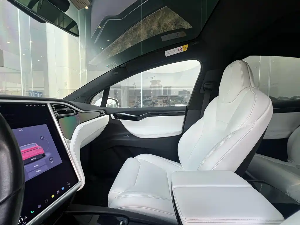 Tesla Model X 2017 — фото 8