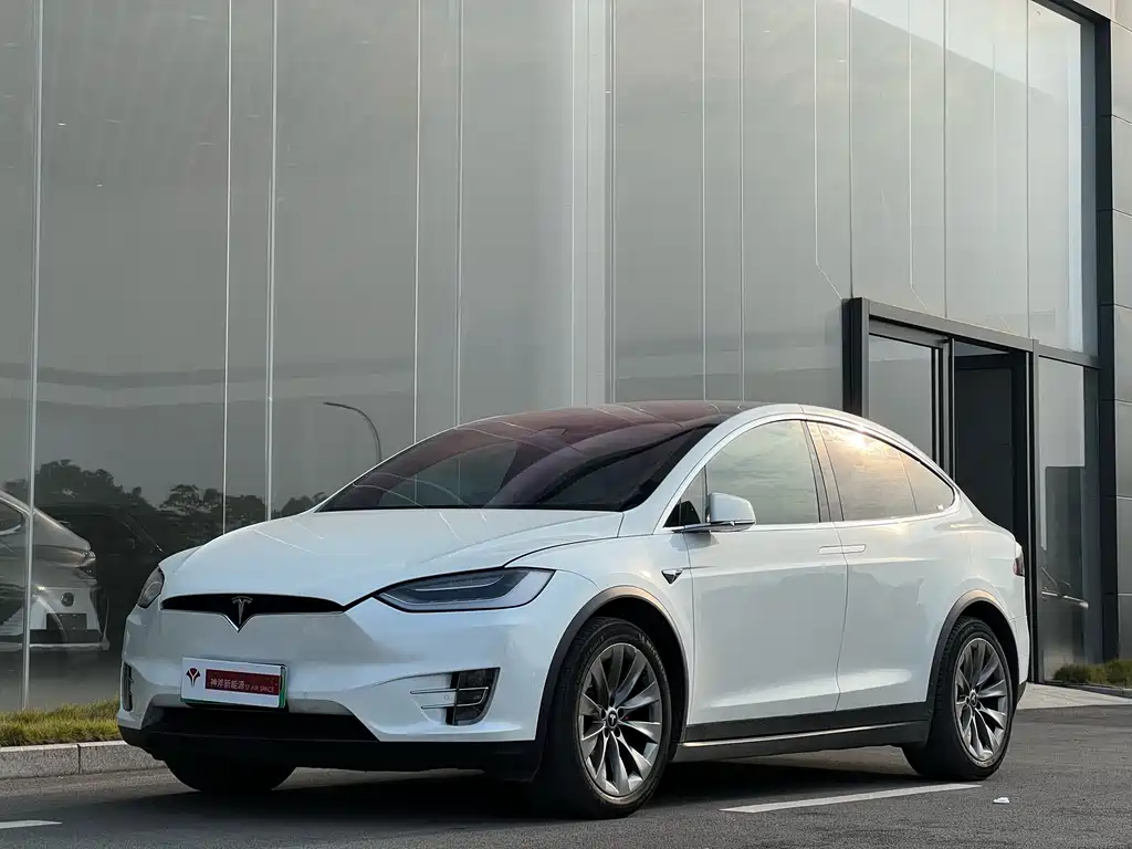 Tesla Model X 2017 — фото 1