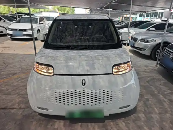 Ora White Cat 2022