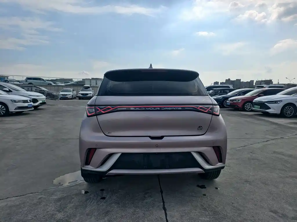 BYD Dolphin 2022