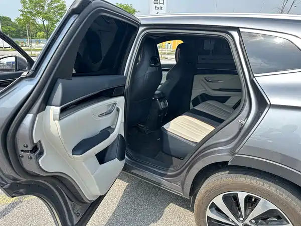 BYD Song PLUS New Energy 2023