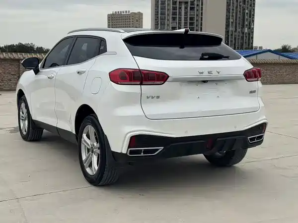Wey VV5 2020