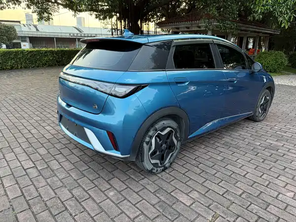 BYD Dolphin 2021