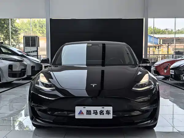 Tesla Model 3 2019