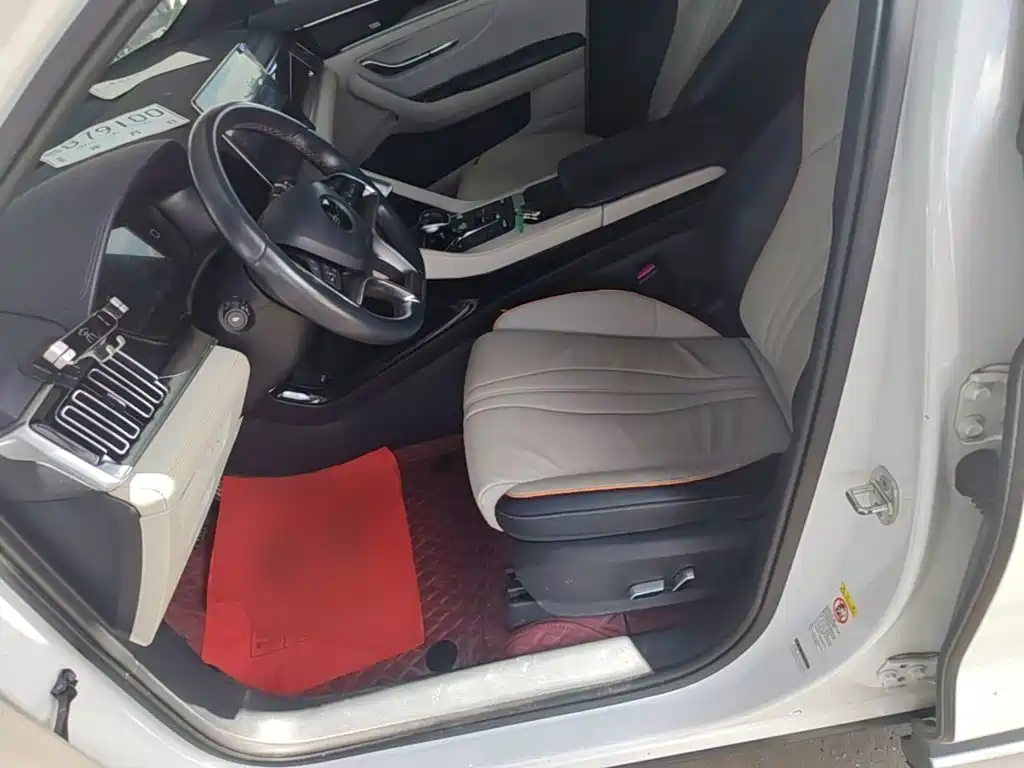 BYD Song PLUS New Energy 2022 — фото 15