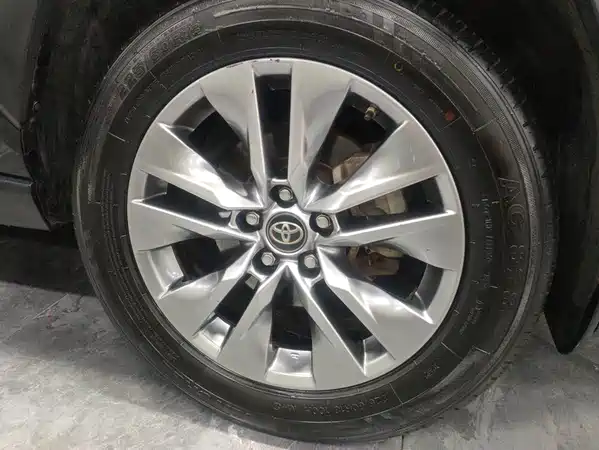 Toyota Wildlander 2021