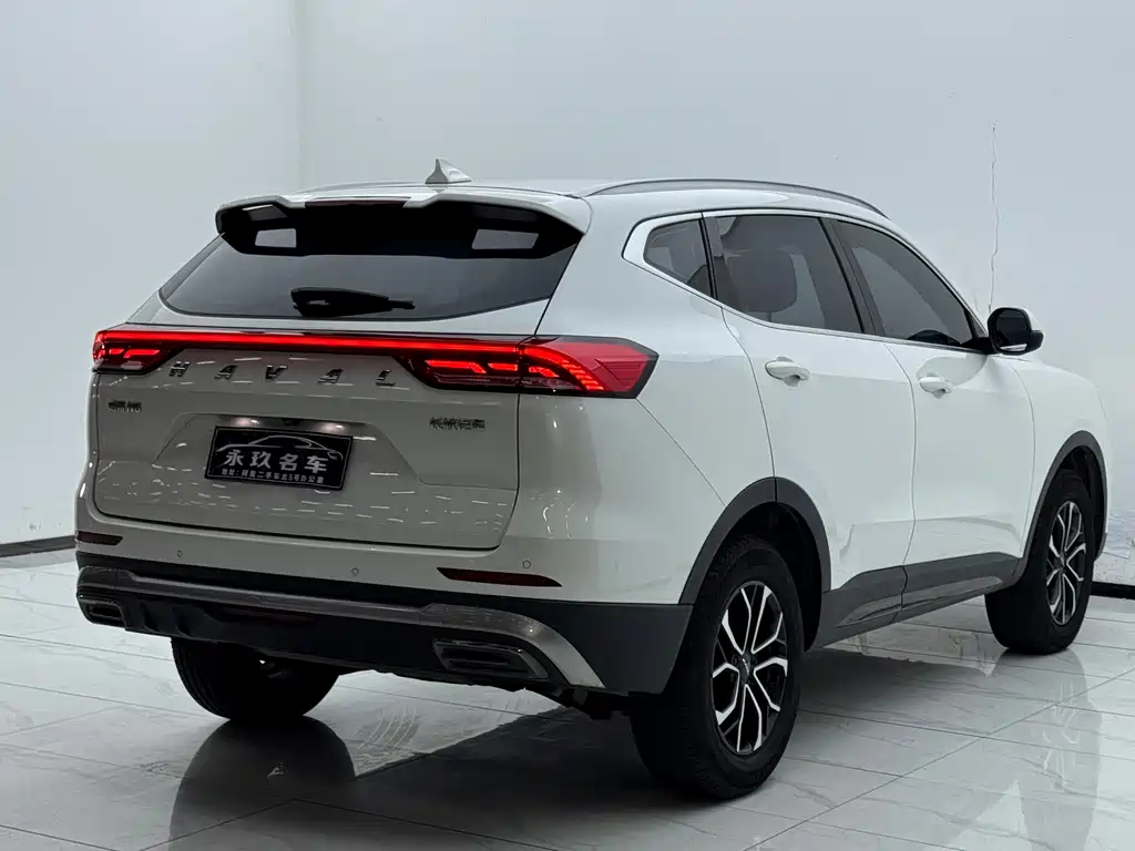Haval H6 2021 — фото 13