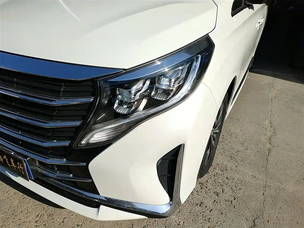 GAC Motor Trumpchi M8 2022 — фото 15