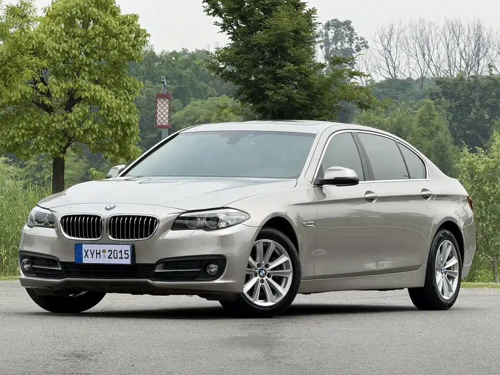 BMW 5 Series 2015
