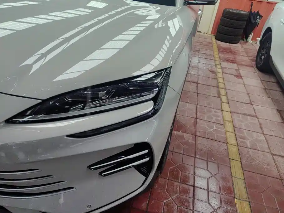 BYD Song PLUS New Energy 2024 — фото 5