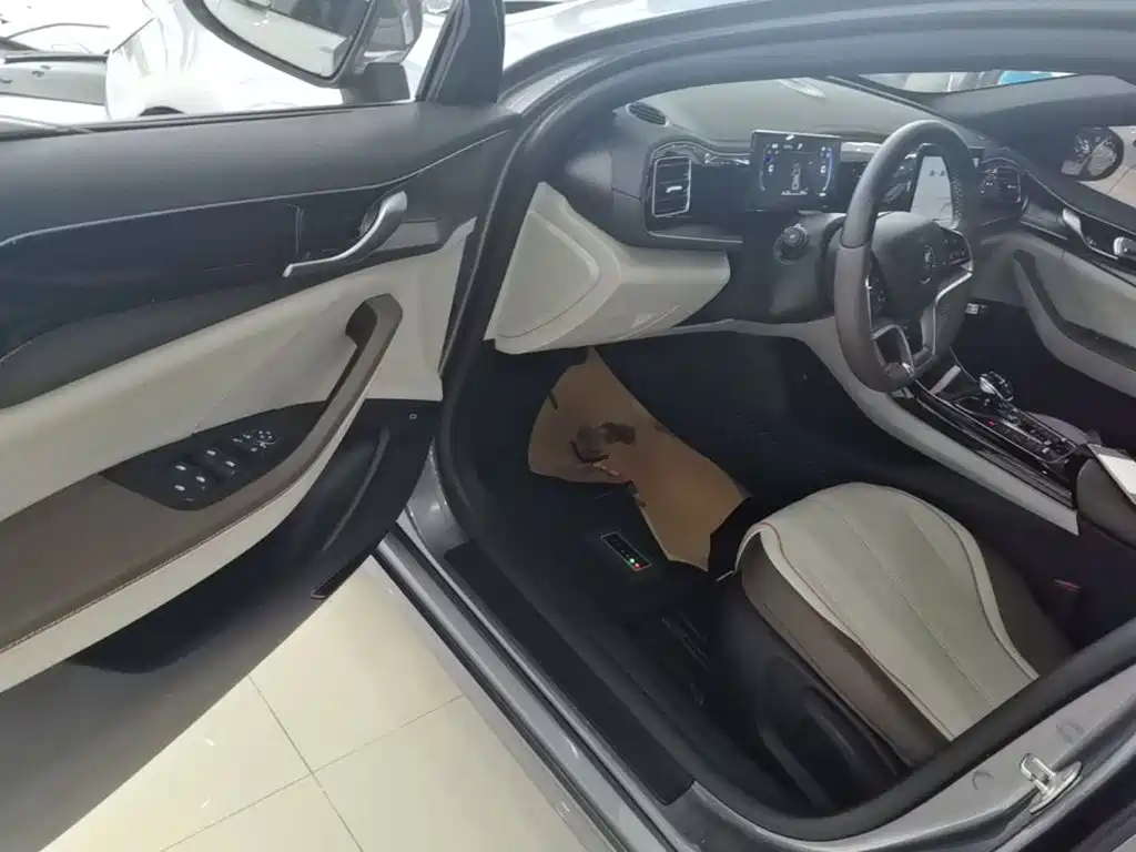 BYD Qin PLUS 2024 — фото 16