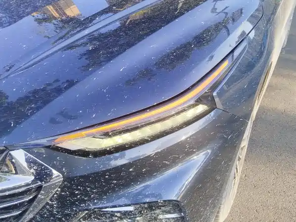 Wuling Victory 2021