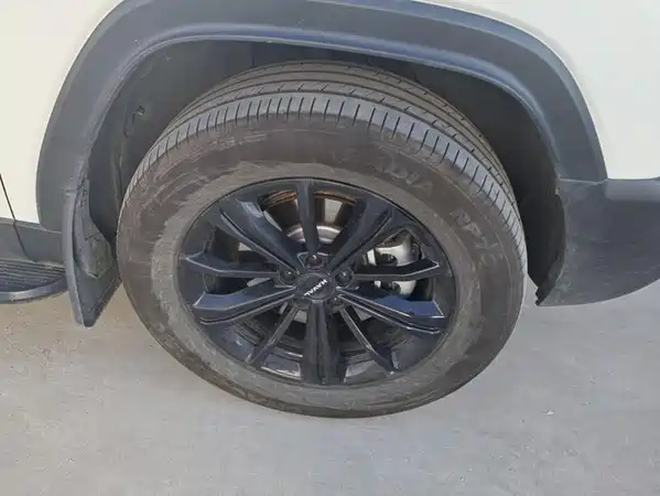 Haval Raptors New Energy 2024