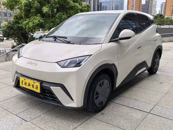 BYD Seagull 2025