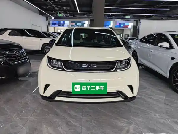 BYD Dolphin 2024