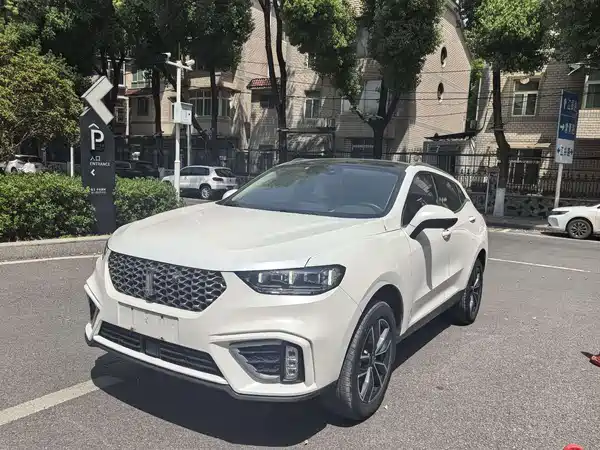 Wey VV5 2020