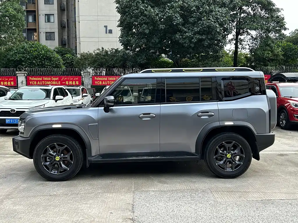 Shanhai Traveller C-DM 2025 — фото 2