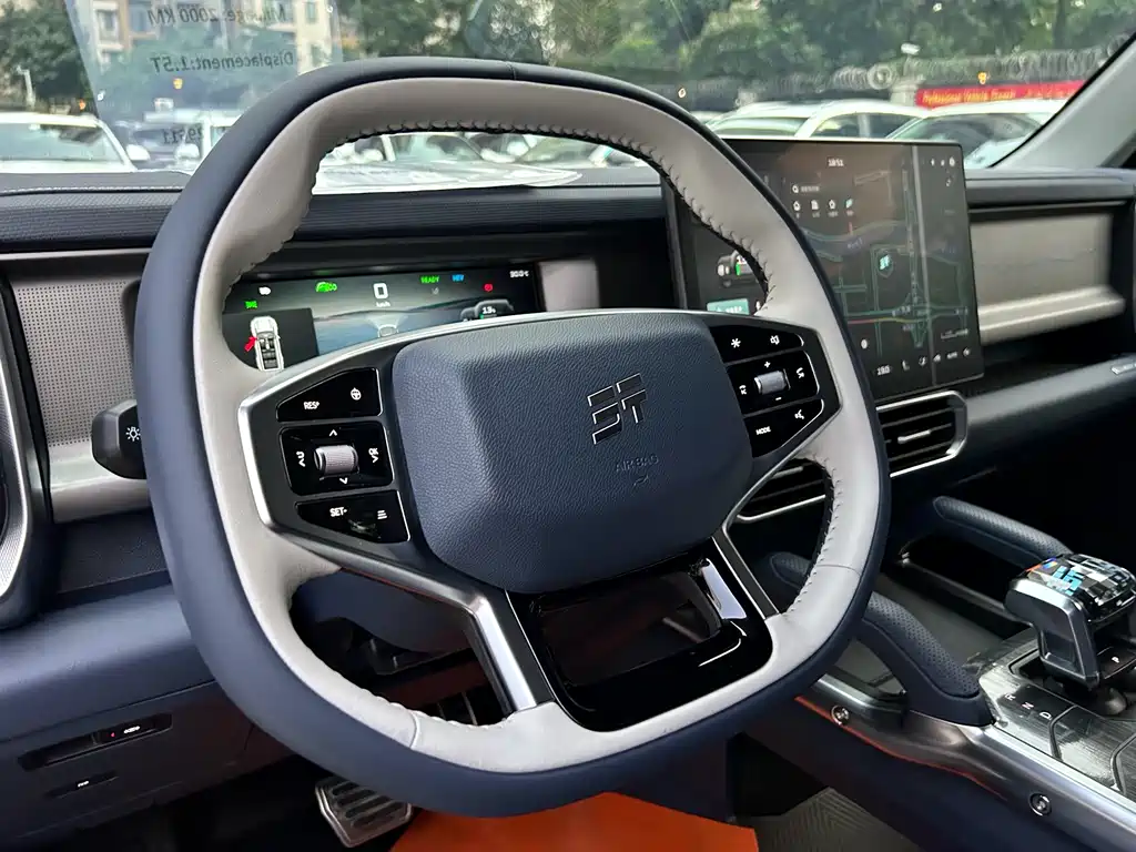 Shanhai Traveller C-DM 2025 — фото 15