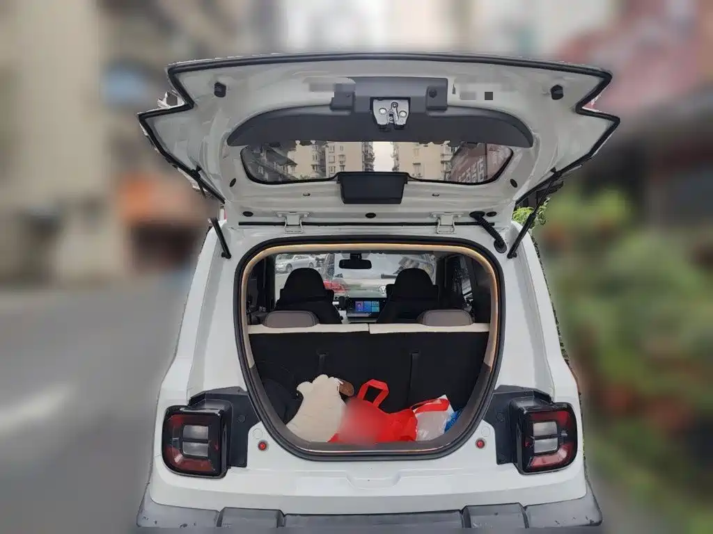Geely Galaxy Panda 2024 — фото 15