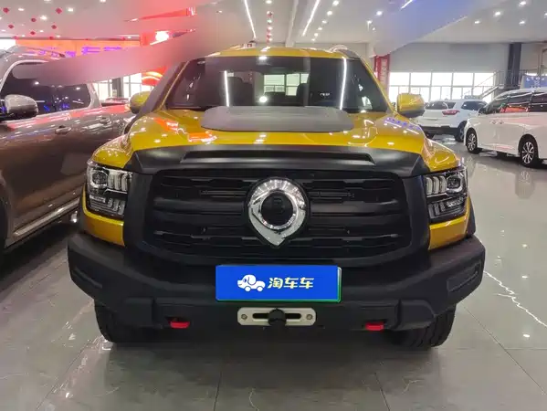 Great Wall Shanhai Cannon 2025