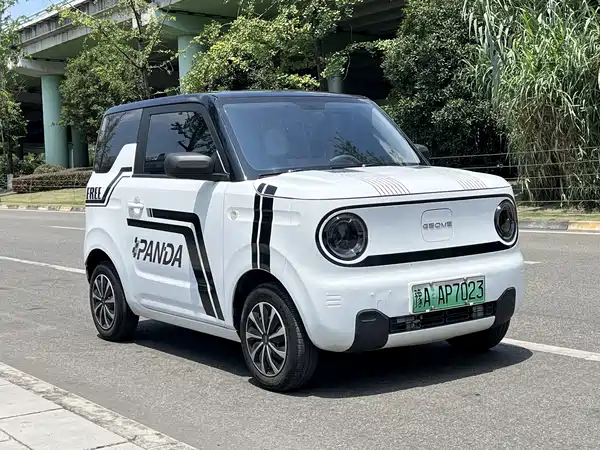 Geely Galaxy Panda 2024