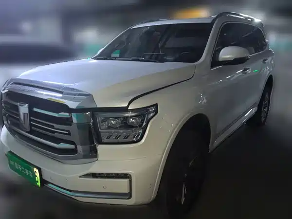 Tank 500 New Energy 2024